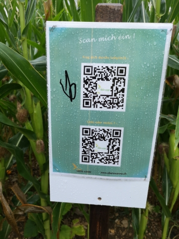 2019 08 07 11.20.41 Kopie