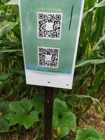 2019 08 07 11.20.41 Kopie