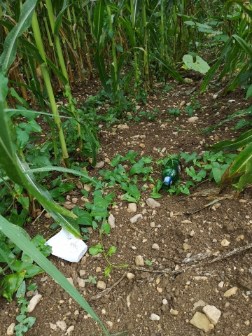 2019 08 07 11.20.41 Kopie