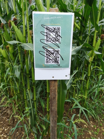 2019 08 07 11.20.41 Kopie