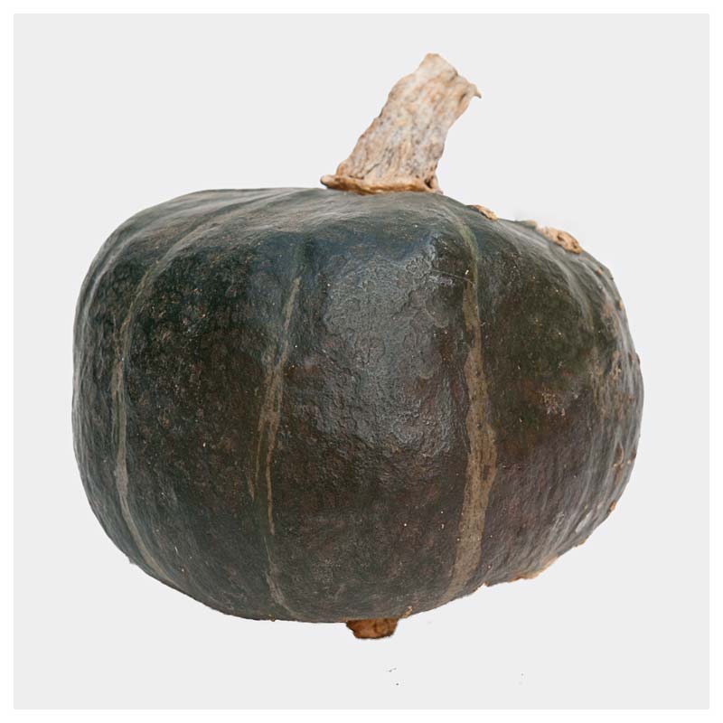 Buttercup 800x800 web