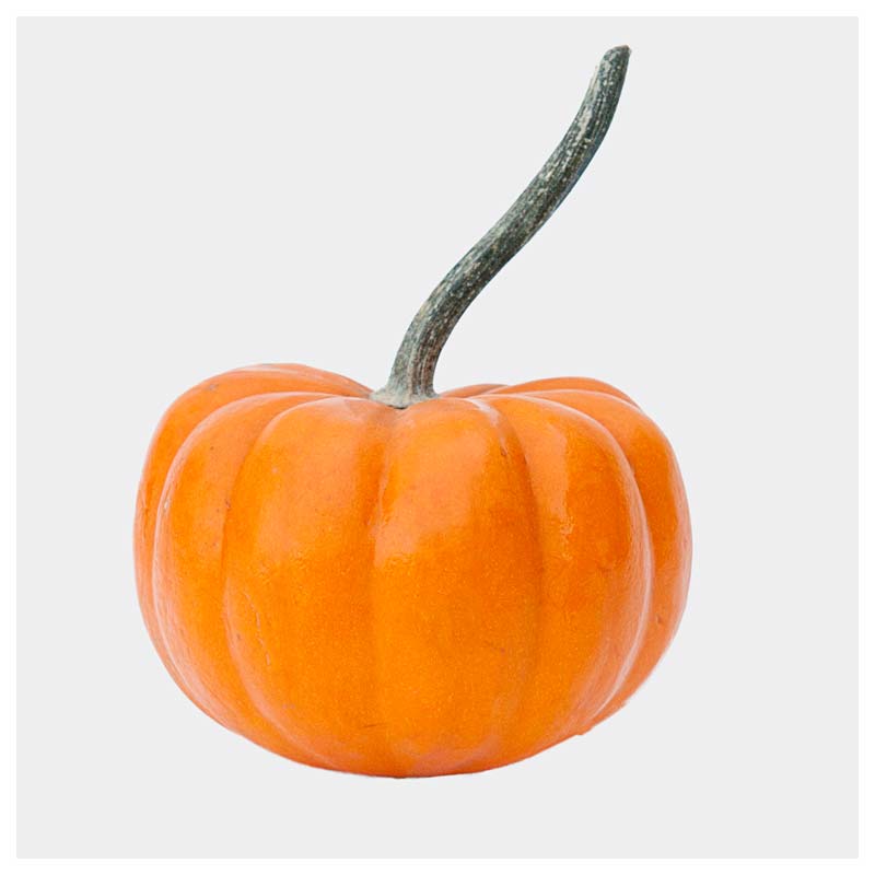 Orangita 800x800 web