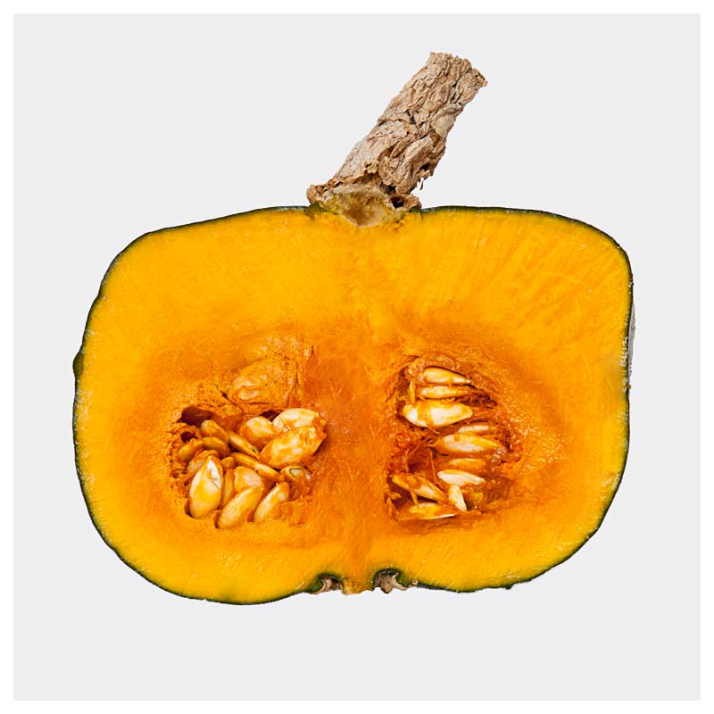 Buttercup geschnitten 800x800 web