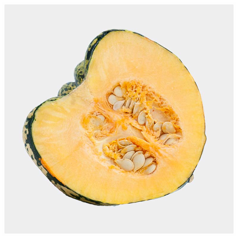 Carnival geschnitten 800x800 web