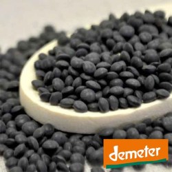 Foto-Shop-Beluga-Linsen-offen