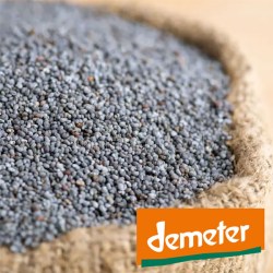 Mohn-Kategorien-Bild-Shop