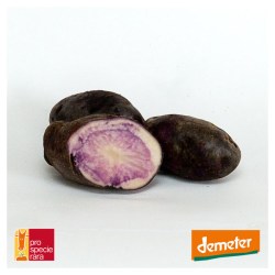 Blaue-Schweden-Demeter