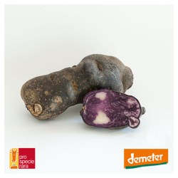 Vitelotte-noire-Demeter