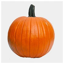Halloweenkuerbis 800x800 web