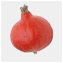 Orange Knirps 