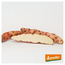 Kalber Rotstangen 