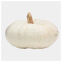 Flat White Boer 800x800 web