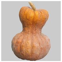 Amish Pie 350x350 web
