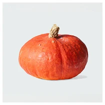Sunshine Kabocha