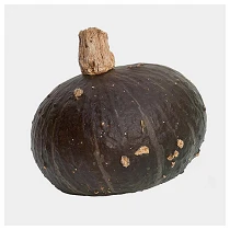 Sweet Mama 800x800 web