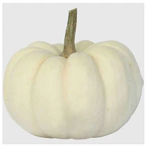 Casperita