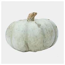 Crown Prince 800x800 web