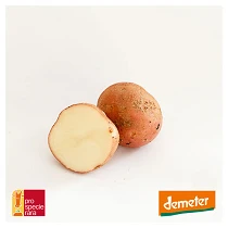 Rote-Loetschentaler