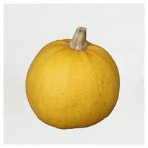 Melonette de Vendee