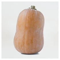Honeynut